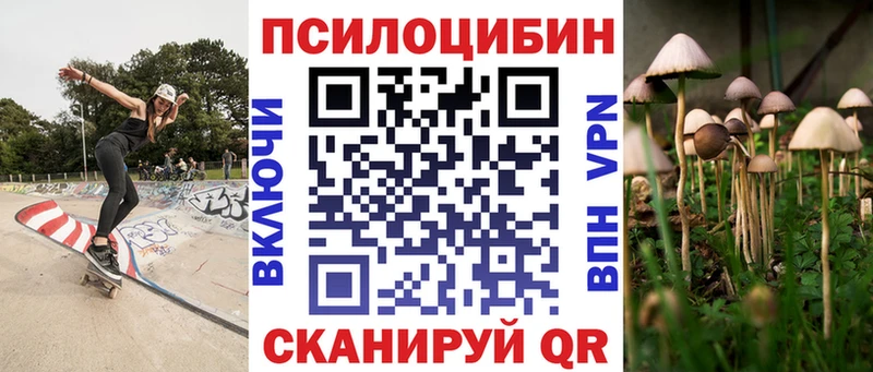 Псилоцибиновые грибы Psilocybine cubensis  Конаково 